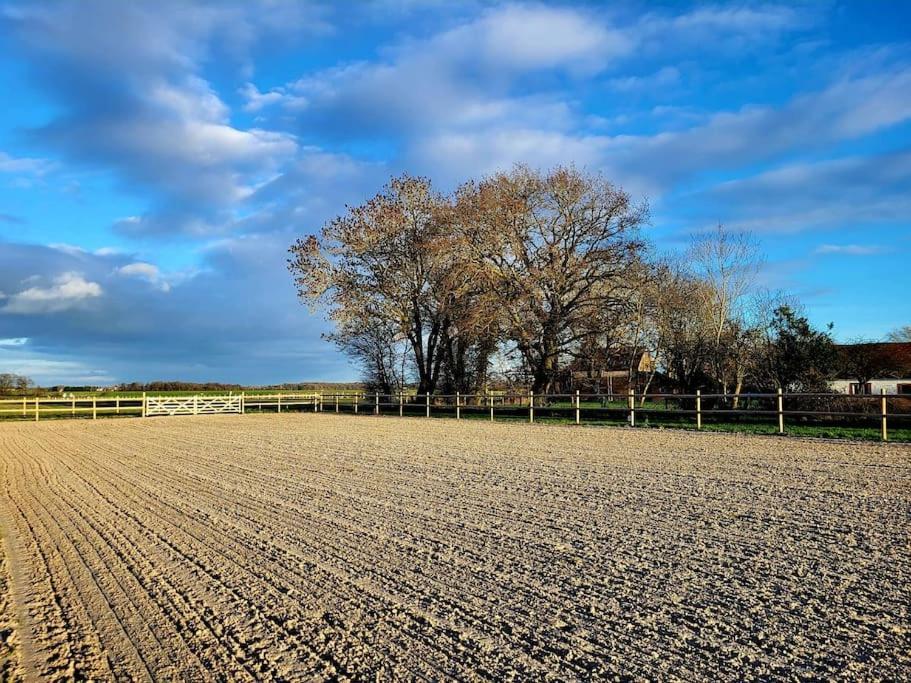 Gite Au Haras D'Agathe Et Ses Princes Les Barils Ngoại thất bức ảnh