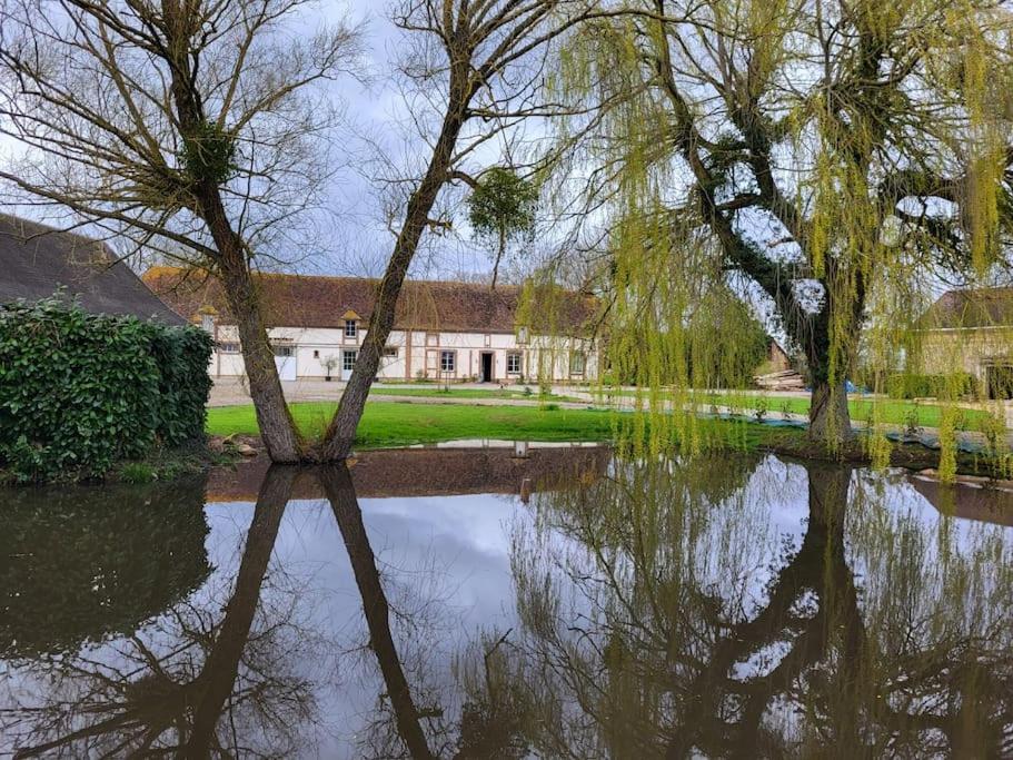 Gite Au Haras D'Agathe Et Ses Princes Les Barils Ngoại thất bức ảnh